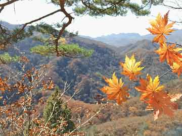 馮新柱最新案件，學(xué)習(xí)之旅中的變化與成就感的誕生地