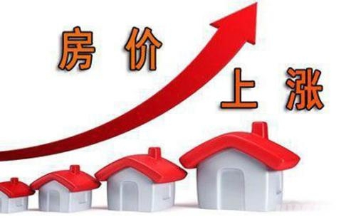 2019年最新房價(jià)概覽，市場趨勢(shì)與數(shù)據(jù)分析