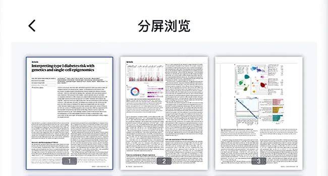 2024精準資料免費大全,快速解答方案設(shè)計_隨身版35.417