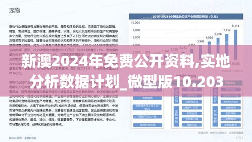 新澳2024正版資料免費公開,社會承擔實踐戰(zhàn)略_競技版35.402