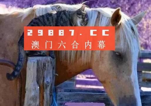 最準(zhǔn)一肖一碼一一香港澳王一王,即時(shí)解答解析分析_全景版35.661