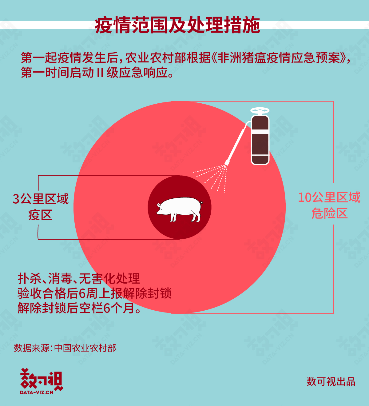 今日豬瘟疫情最新動態(tài)，希望與力量的匯聚