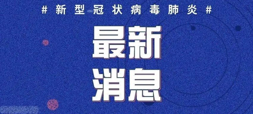 抗擊肺炎疫情最新動態(tài)及觀點論述，全面解析抗疫進展與策略