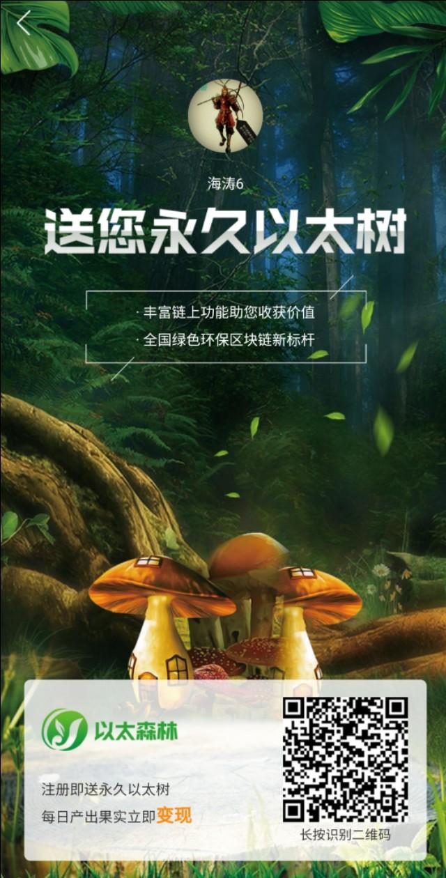 以太森林最新