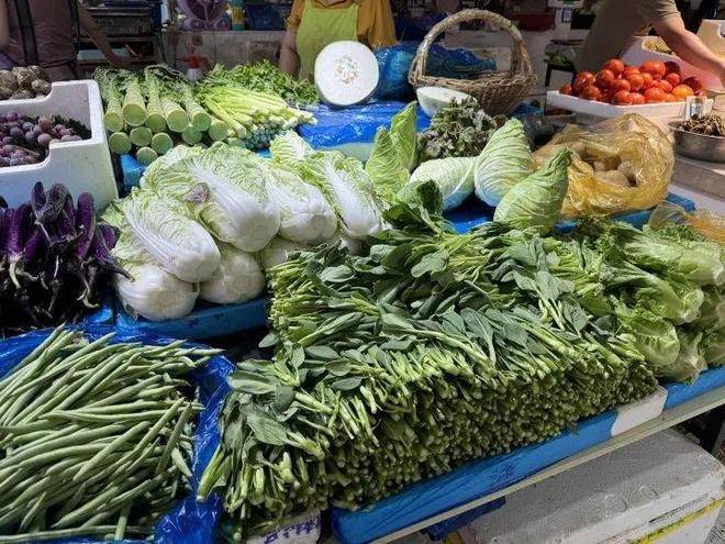 自然美景中的心靈之旅，最新買菜體驗(yàn)與內(nèi)心平和的追尋