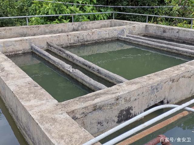 最新凈水池搭建步驟指南與實用指南