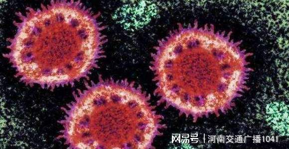 全球肺炎最新概況與動(dòng)態(tài)分析