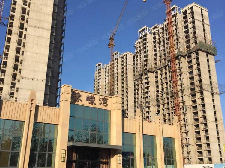 橡嶸灣的溫馨日常，2017年新篇章的最新動態(tài)