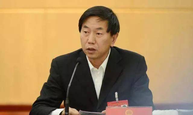 靈石張李虎最新任職揭曉，探尋職業(yè)新篇章的神秘面紗